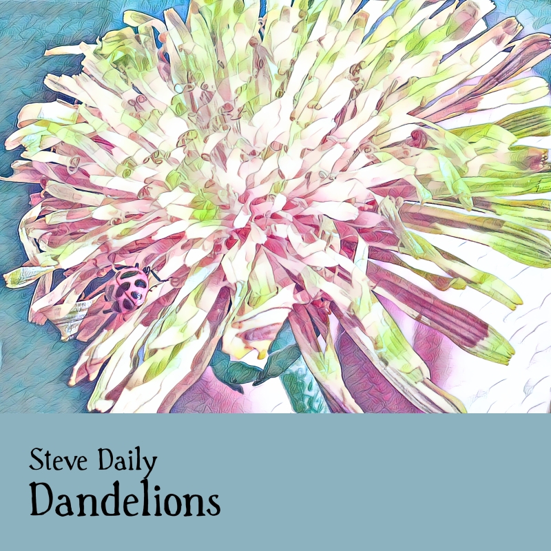 Dandelions and ladybug